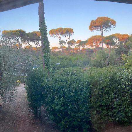 Hotel Grifone Principina a Mare Bagian luar foto