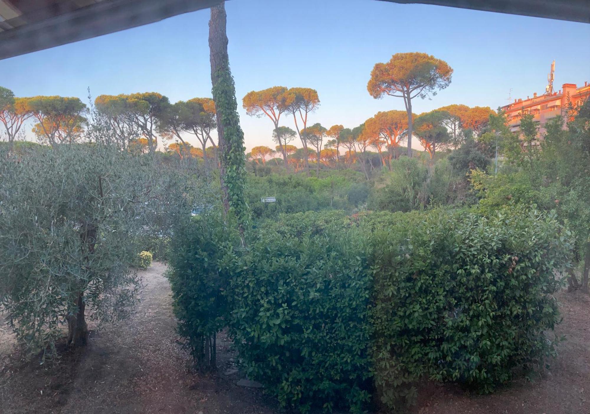 Hotel Grifone Principina a Mare Bagian luar foto